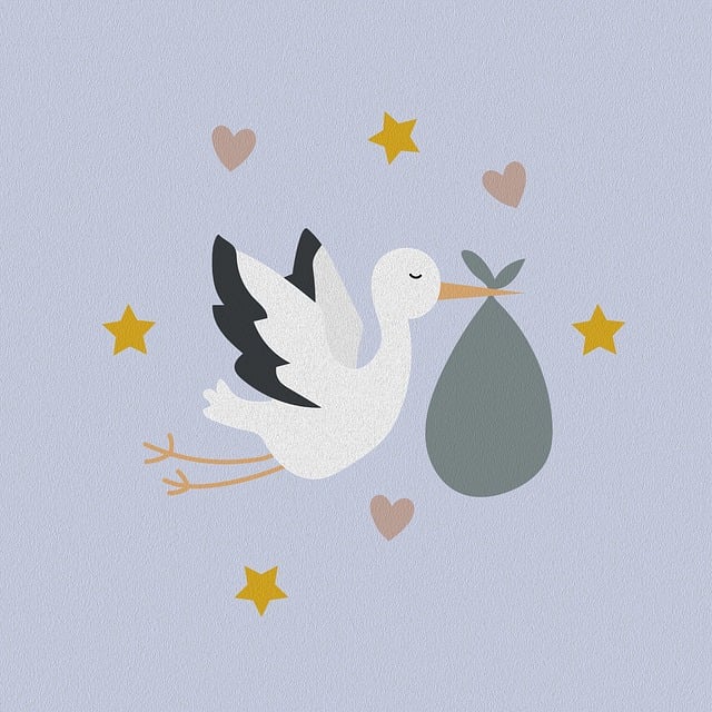 【完全ガイド】トレカライザス webの評判は？口コミ・クーポン・登録方法まで徹底解説