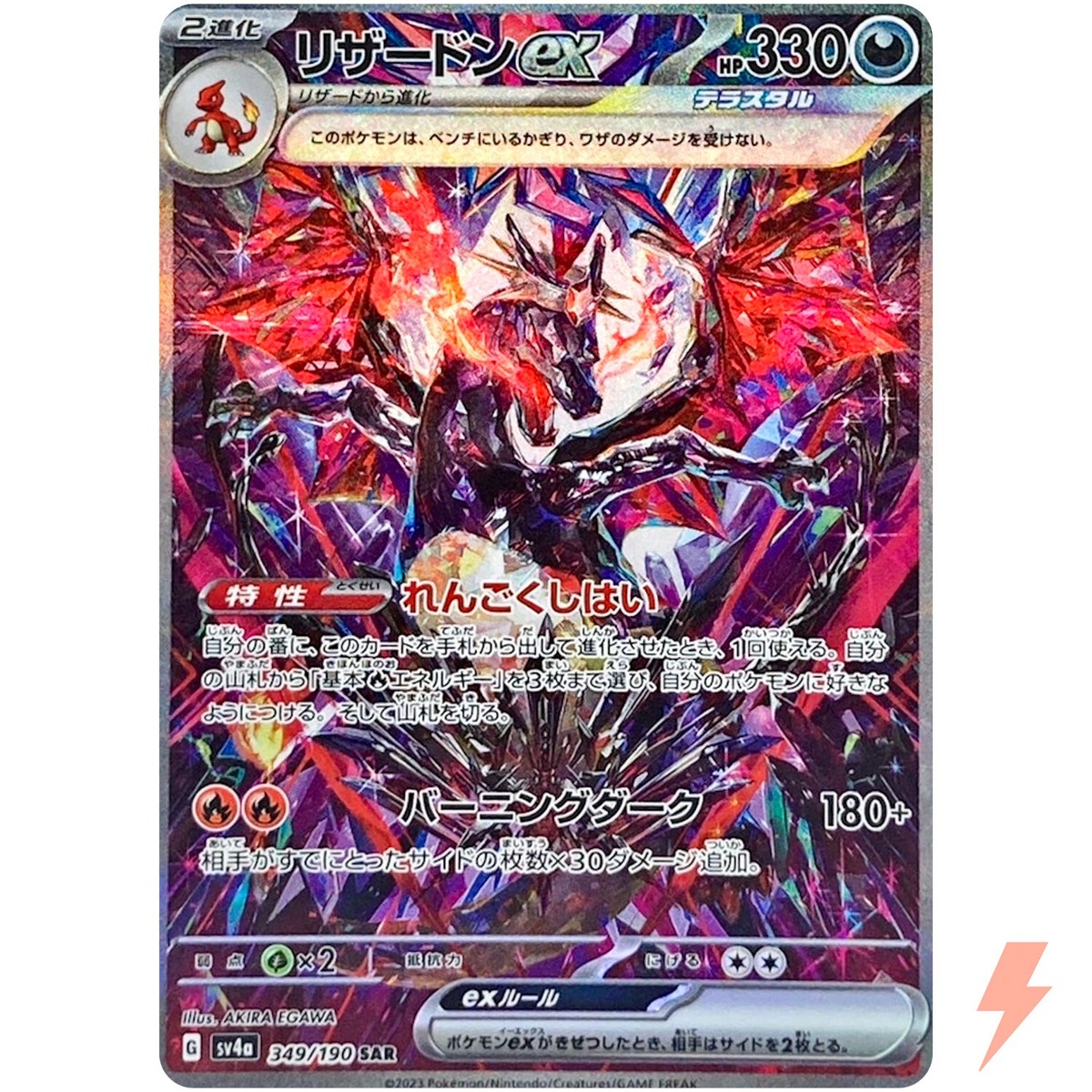 リザードン全般